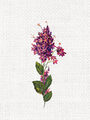 Image Not Available
